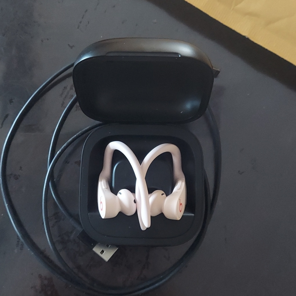 Beats powerbeats pro
